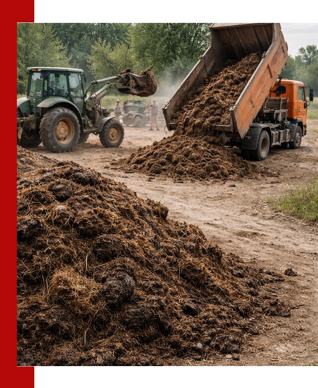 Доставка навоза самосвалами в Щекине для сельхозпотребностей